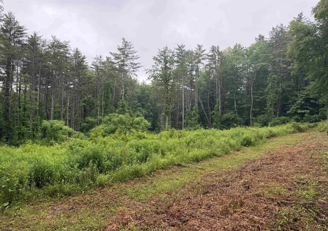 Homes for sale in Putney, VT | 63 West Hl, Putney, VT 05346 | MLS# 5096352