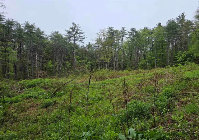 Homes for sale in Putney, VT | 63 West Hl, Putney, VT 05346 | MLS# 5096352
