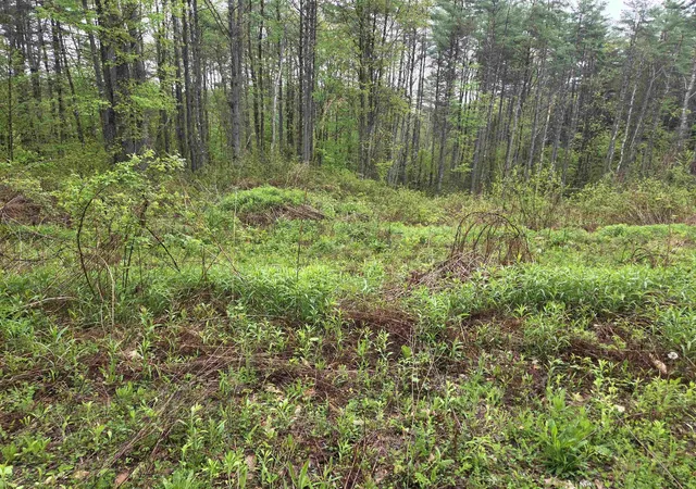 Homes for sale in Putney, VT | 63 West Hl, Putney, VT 05346 | MLS# 5096352