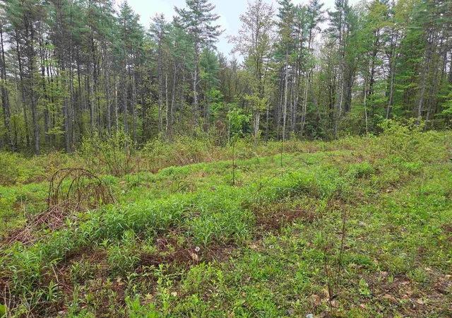 Homes for sale in Putney, VT | 63 West Hl, Putney, VT 05346 | MLS# 5096352