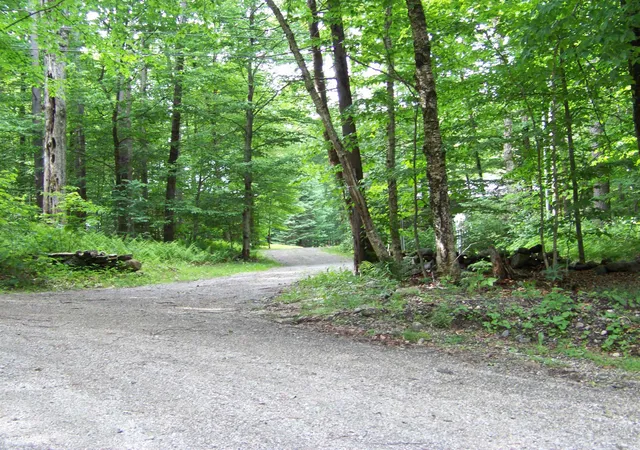 Homes for sale in Rochester, VT | 406 Mt View Loop, Rochester, VT 05767 | MLS# 5096369