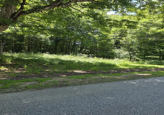 Homes for sale in Campton, NH | King & Rte 3 Rte, Campton, NH 03223 | MLS# 5096412