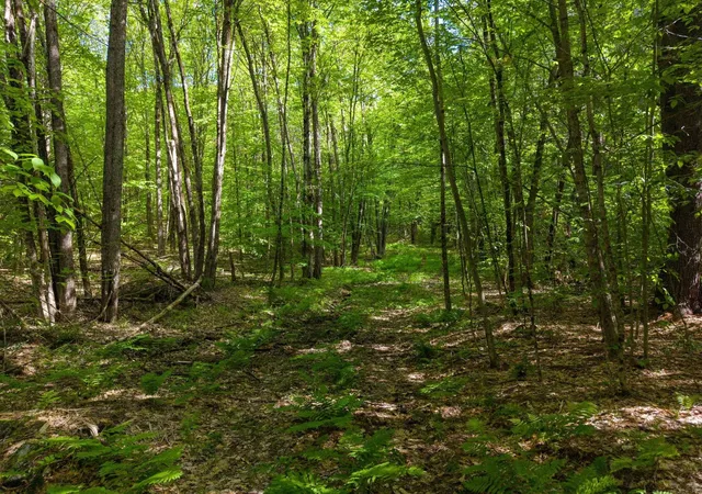 5th image of 0 Tiger Town Rd, Norwich, VT 05055 | MLS# 5096506
