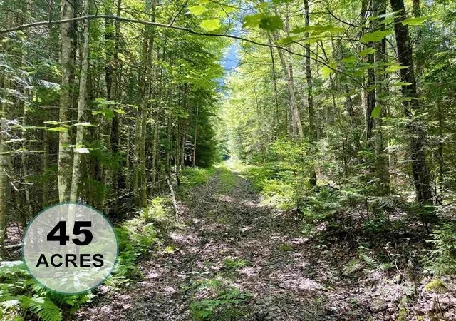 1st image of 00 George's Blvd, East Haven, VT 05837 | MLS# 5096531