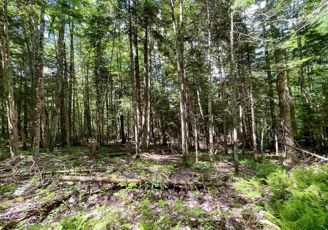 3rd image of 00 George'S Blvd, East Haven, VT 05837 | MLS# 5096531