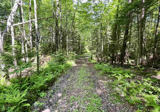 4th image of 00 George'S Blvd, East Haven, VT 05837 | MLS# 5096531