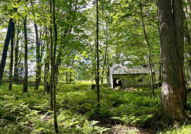 4th image of 00 Old Farm Rd, Burke, VT 05871 | MLS# 5096558