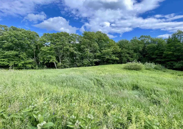 5th image of 00 Old Farm Rd, Burke, VT 05871 | MLS# 5096558