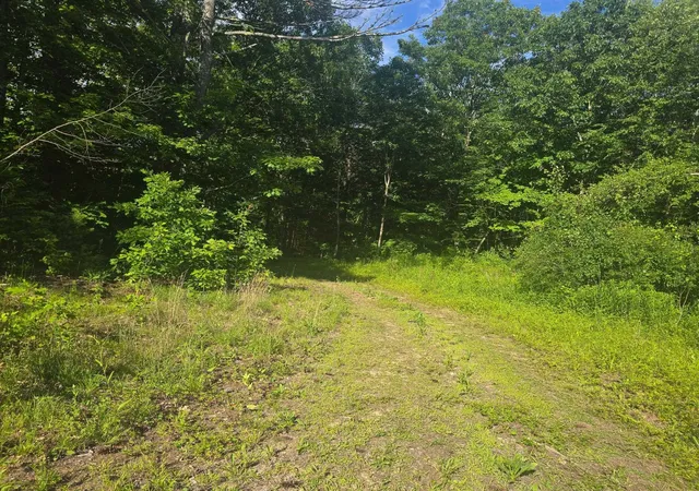 Homes for sale in Salisbury, NH | 0 West Salisbury Rd, Salisbury, NH 03268 | MLS# 5096619