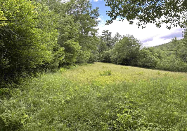 5th image of 4 Cutler Rd, Plainfield, NH 03781 | MLS# 5096741
