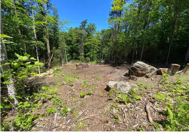 Homes for sale in Readsboro, VT | Rue Madeline, Readsboro, VT 05350 | MLS# 5096789