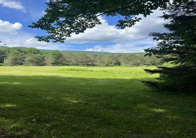 Homes for sale in Sandgate, VT | 2740 Sandgate Rd, Sandgate, VT 05250 | MLS# 5096796