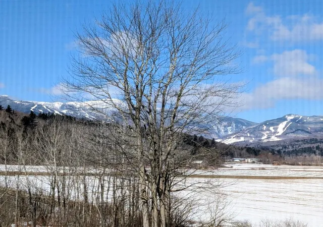 Photo 3 of Townhouse for sale at 8 Wildlife Rd #48, Stowe, VT 05672 | MLS# 5096806 | Listing updated on 2026-08-03