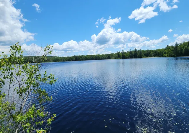 4th image of 36 Johnson Rd, Fitzwilliam, NH 03447 | MLS# 5096840