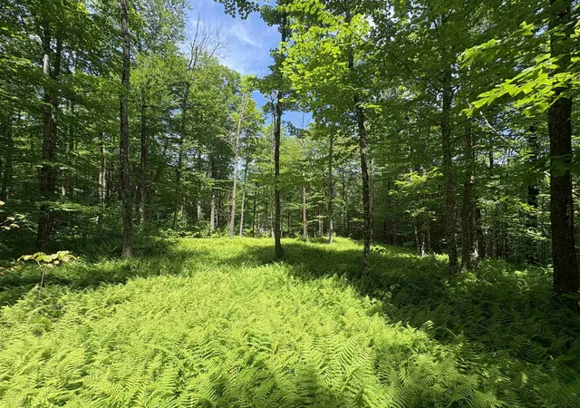 1st image of 7601 Vt Route 105 E, Jay, VT 05859 | MLS# 5096842