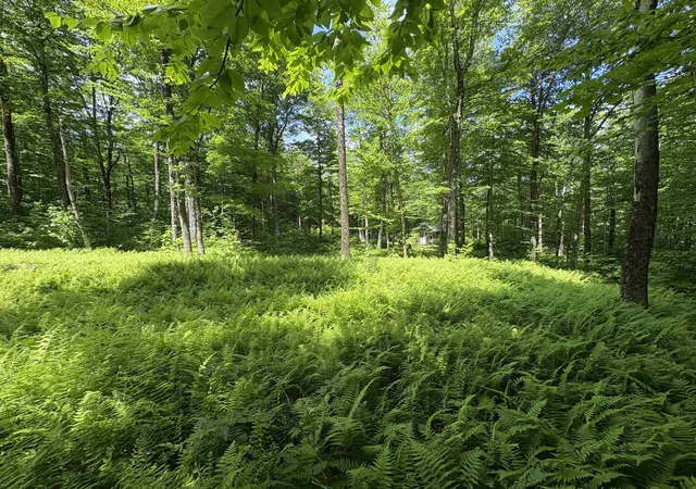 2nd image of 7601 Vt Route 105 E, Jay, VT 05859 | MLS# 5096842