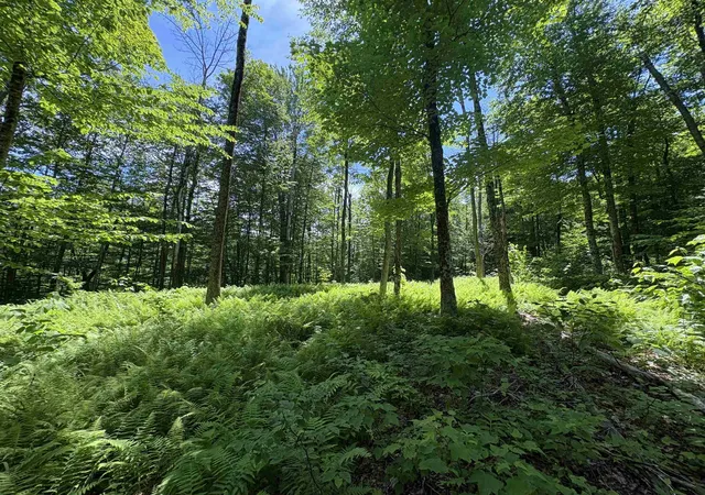 3rd image of 7601 Vt Route 105 E, Jay, VT 05859 | MLS# 5096842