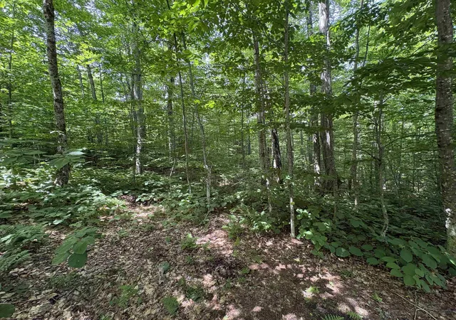 39th image of 7601 Vt Route 105 E, Jay, VT 05859 | MLS# 5096842