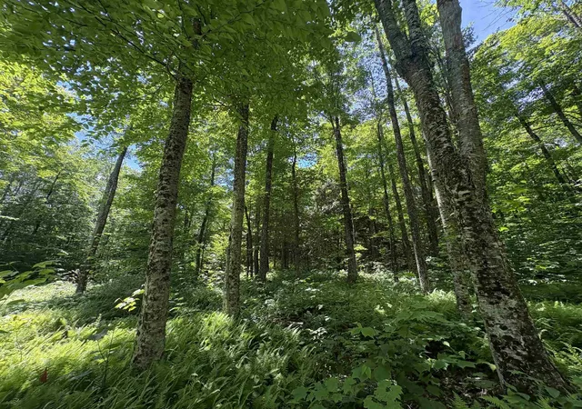 4th image of 7601 Vt Route 105 E, Jay, VT 05859 | MLS# 5096842
