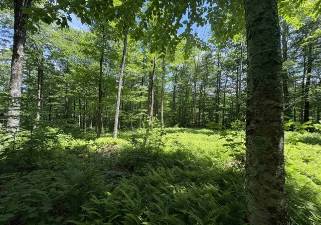 5th image of 7601 Vt Route 105 E, Jay, VT 05859 | MLS# 5096842