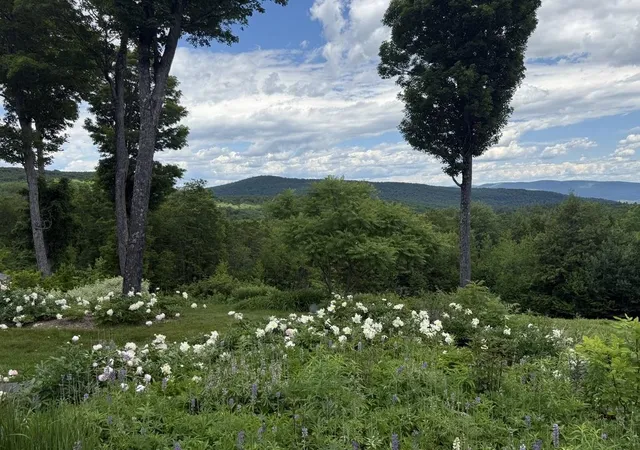 Homes for sale in Jamaica, VT | 816 Black Bear Rd, Jamaica, VT 05343 | MLS# 5096846