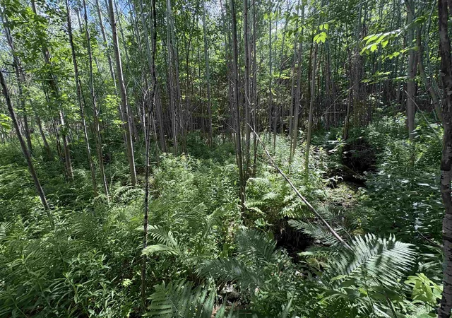 33rd image of 990 Bergeron Rd, North Troy, VT 05859 | MLS# 5096853