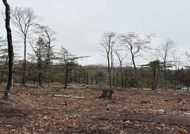2nd image of 8 Sugarloaf Dr, Ossipee, NH 03814 | MLS# 5096955