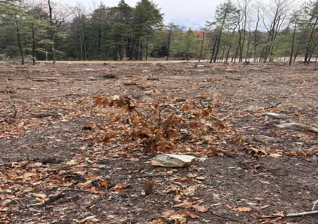 3rd image of 8 Sugarloaf Dr, Ossipee, NH 03814 | MLS# 5096955