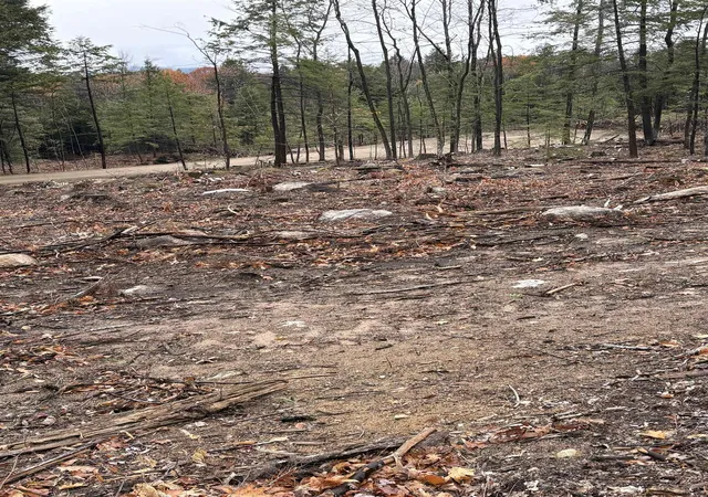 5th image of 8 Sugarloaf Dr, Ossipee, NH 03814 | MLS# 5096955