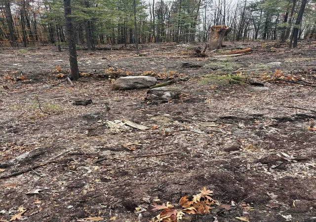 4th image of 12 Sugarloaf Dr, Ossipee, NH 03814 | MLS# 5096969