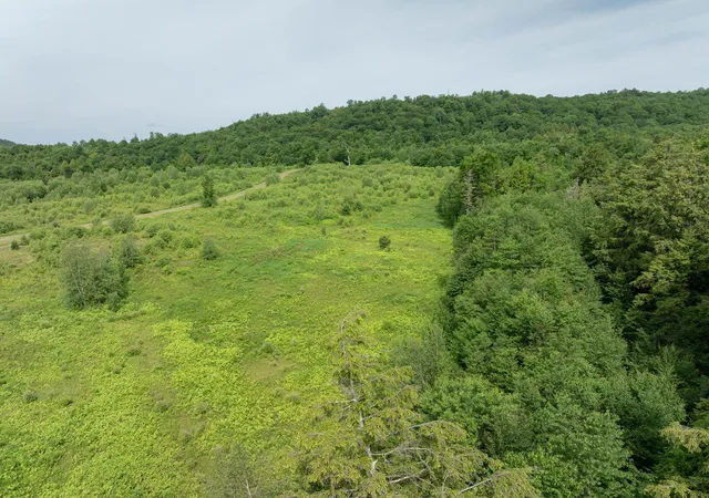 4th image of 00 Birch Tree Ln, Cambridge, VT 05464 | MLS# 5096973