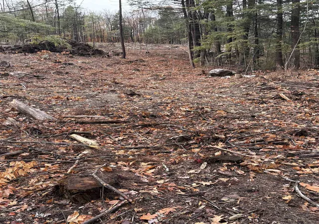 2nd image of 7 Sugarloaf Dr, Center Ossipee, NH 03814 | MLS# 5096984