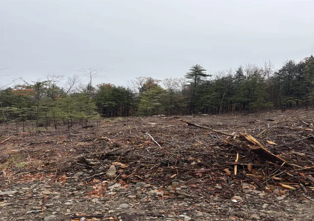 2nd image of 9 Sugarloaf Dr, Ossipee, NH 03814 | MLS# 5096994