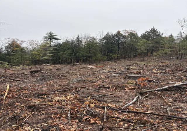 3rd image of 9 Sugarloaf Dr, Ossipee, NH 03814 | MLS# 5096994