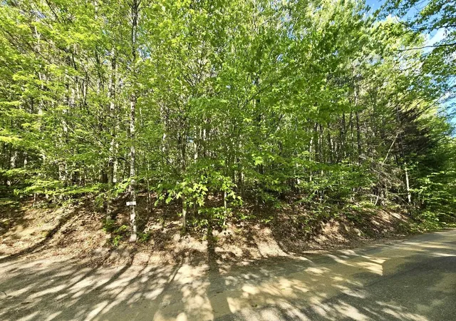 Homes for sale in Campton, NH | 00 Isaac Fox Dr, Campton, NH 03223 | MLS# 5097008