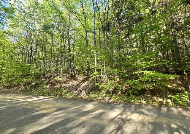 Homes for sale in Campton, NH | 00 Isaac Fox Dr, Campton, NH 03223 | MLS# 5097008