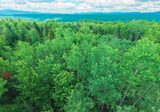 2nd image of Oregon Rd, Concord, VT 05824 | MLS# 5097080