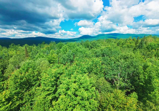 3rd image of -- Oregon Rd, Concord, VT 05824 | MLS# 5097080