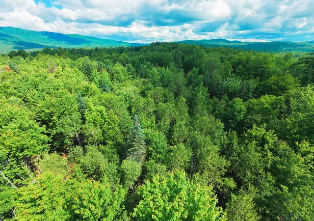 4th image of -- Oregon Rd, Concord, VT 05824 | MLS# 5097080