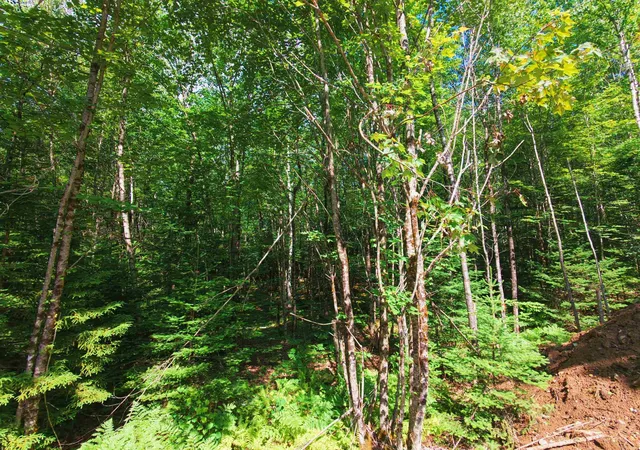 5th image of -- Oregon Rd, Concord, VT 05824 | MLS# 5097080