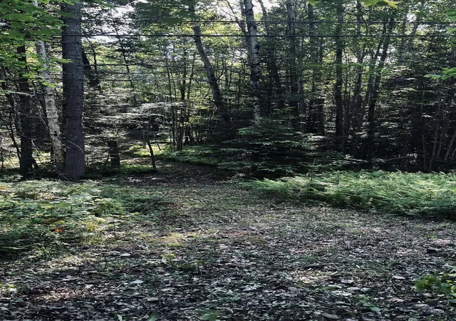 56th image of Oregon Rd, Concord, VT 05824 | MLS# 5097080