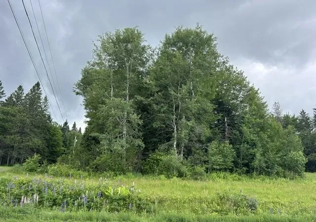 4th image of Hilda'S Wy, Pittsburg, NH 03592 | MLS# 5097102