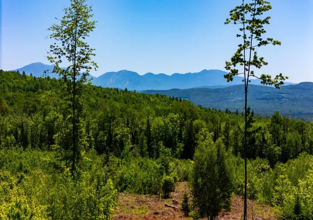 5th image of 0 Mitchell Rd, Concord, VT 05824 | MLS# 5097103