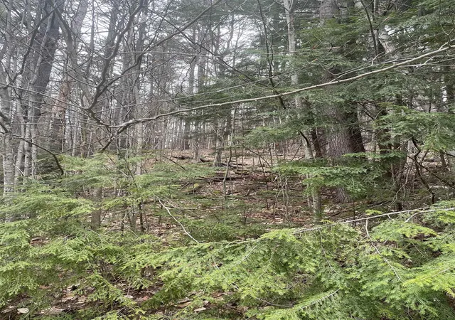Homes for sale in Campton, NH | 10 4 2 David Thompson Dr, Campton, NH 03223 | MLS# 5097110