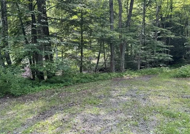 Homes for sale in Weathersfield, VT | Gird Lot Rd, Weathersfield, VT 05151 | MLS# 5097118