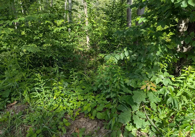 Photo 3 of Sale Pending at Autumn Rd, Hillsborough, NH 03244 | MLS# 5097127 | Listing updated on 2026-07-29
