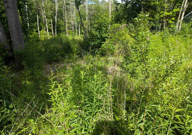 Photo 3 of Sale Pending at Autumn Rd, Hillsborough, NH 03244 | MLS# 5097127 | Listing updated on 2026-07-29