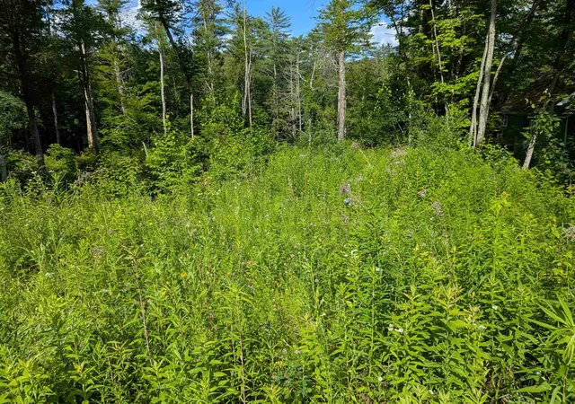 Photo 4 of Sale Pending at Autumn Rd, Hillsborough, NH 03244 | MLS# 5097127 | Listing updated on 2026-07-29
