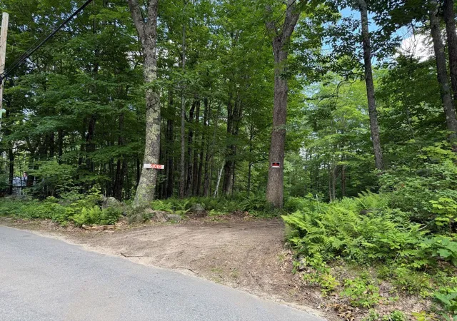Homes for sale in Stoddard, NH | 550 Kings Hwy, Stoddard, NH 03464 | MLS# 5097182