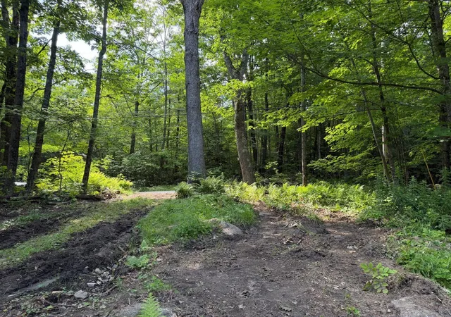 Homes for sale in Stoddard, NH | 550 Kings Hwy, Stoddard, NH 03464 | MLS# 5097182